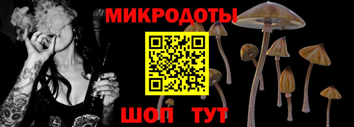 Псилоцибиновые грибы прущие грибы Богородск